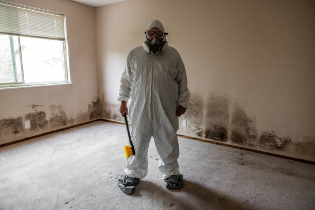 Mold Documentation for Insurance Claims in Reidsville, NC